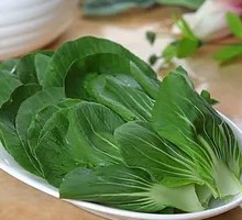 Oilseed lettuce