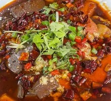 Premium Maoxuewang
