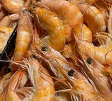 Seafood Counter