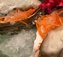 Australian Oyster