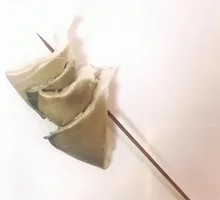 Enoki Mushroom