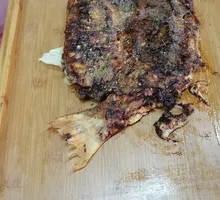 Rainbow Trout