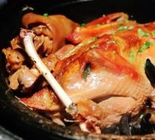 Immortal Chicken