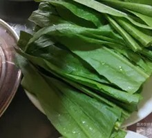 Oilseed lettuce
