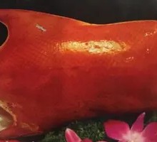 Premium Roast Duck