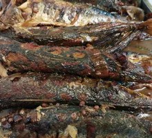 Braised Tender Fish