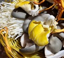Mushroom Platter