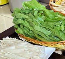 Oilseed lettuce
