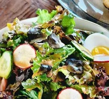 Vegetable Garden Salad