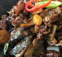 Dry Pot Softshell Turtle