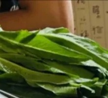 Oilseed lettuce