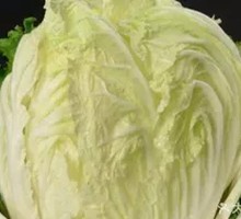 Napa cabbage
