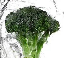 Broccoli