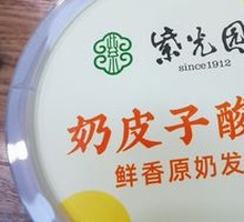 Creamy Milk Yogurt