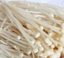 Enoki Mushroom