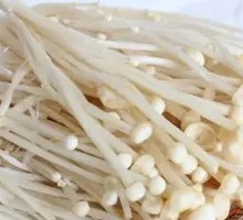 Enoki Mushroom