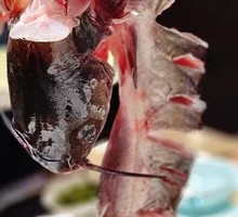 Catfish