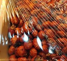 Signature Lobster Balls