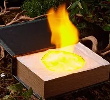 Flame Beef Strips