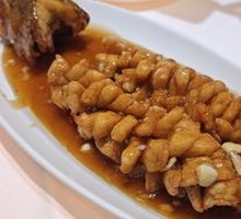 Cloudy Squirrel Grouper