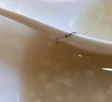 Rice Porridge