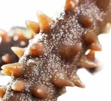 Ready-to-eat Sea Cucumber