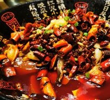 Premium Maoxuewang
