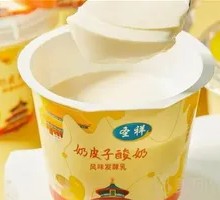 Creamy Milk Yogurt