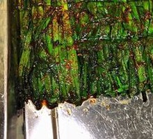Grilled Leeks