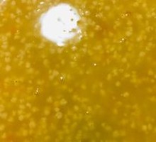 Rice Porridge