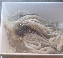 Fresh Squid Tentacles