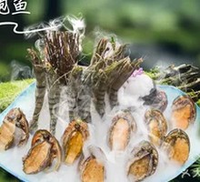 Live Abalone