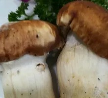 Songrong Mushroom