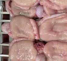 Strength-Promoting Lamb Treasure