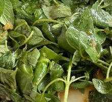 Thai Basil