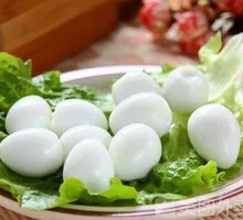 Bird Egg