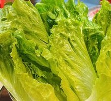 Lettuce