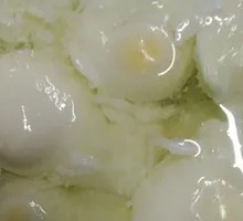 Boiled Egg
