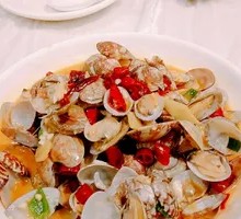 Clam