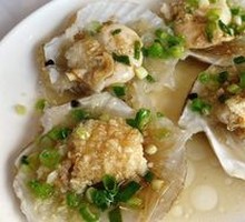 Scallop