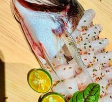 Fully Aged Sea Bream