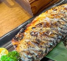 Pacific Saury