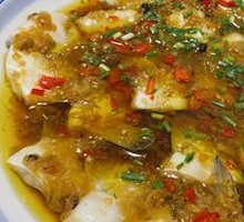 Fish Swimming in Water
