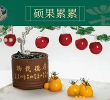 Abundant Harvest
