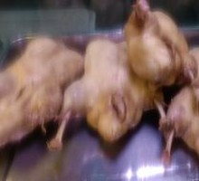 Salted Duck