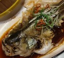Steamed Sea Bass