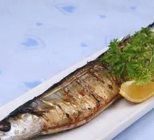 Sardine