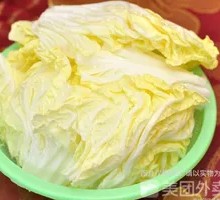 Napa cabbage