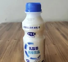 Daliyuan Lactic Acid Bacteria