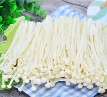 Enoki Mushroom